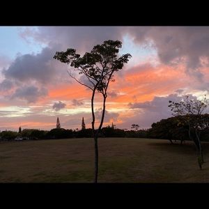 Meet your Posher, Irene